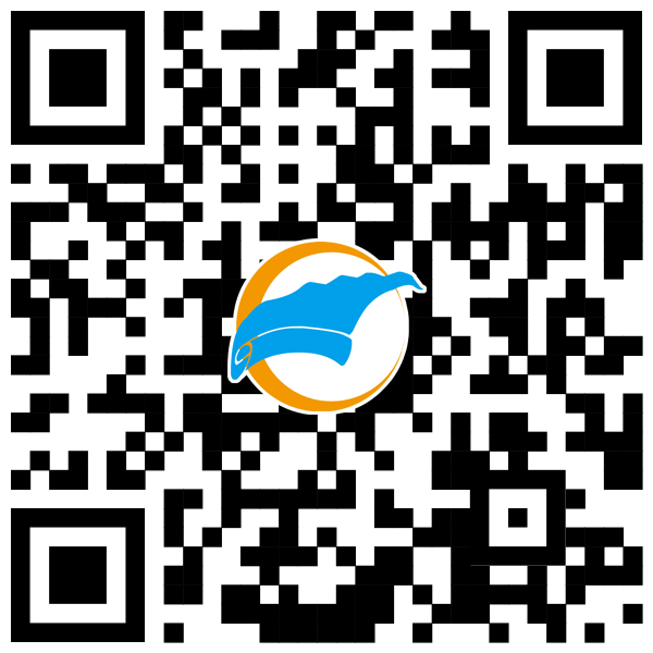 扫码进入查询系统